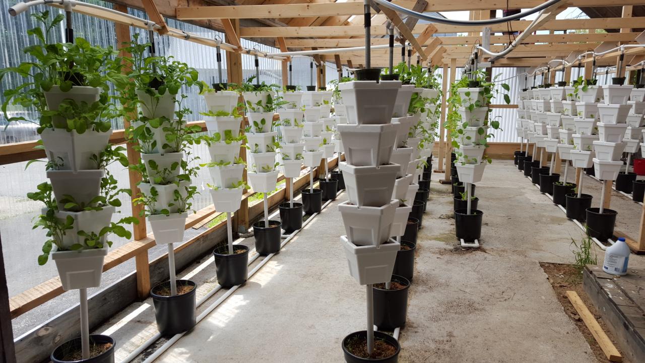 Nutter Farm a Reaping Green Homestead Network Provider Watch us grow...